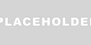 placeholder-300×300